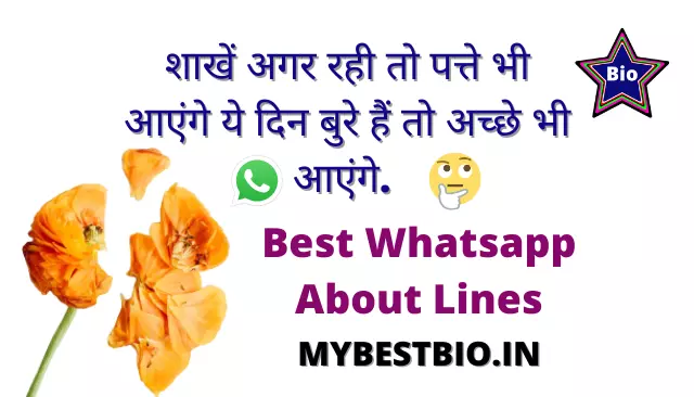 Best Whatsapp About Lines