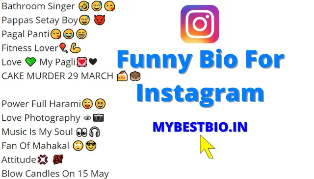 Funny Bio For Instagram
