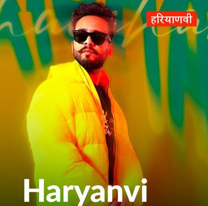 Best Instagram Bio in Haryanvi, Haryanvi Badmashi Bio For Instagram